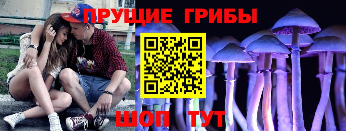 Галлюциногенные грибы Magic Shrooms  Вход с VPN  Самара 